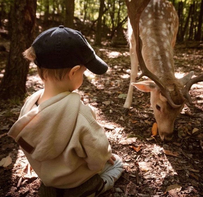 多伦多动物园4月复活节亲子夜宿 开始报名！独享游客散尽后你与动物们的Zoo